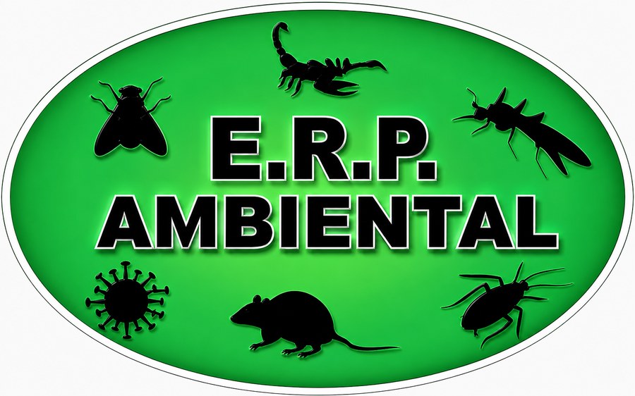 E.R.P. Ambiental